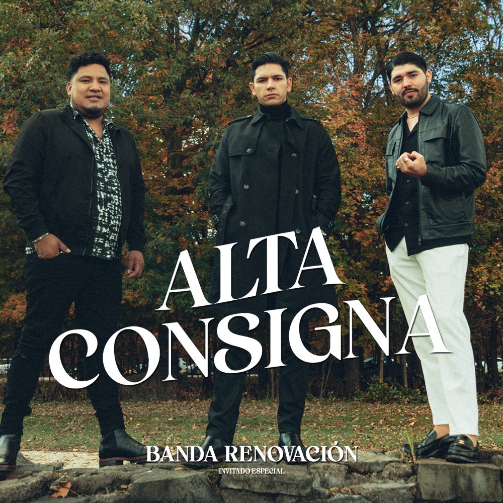 Alta Consigna