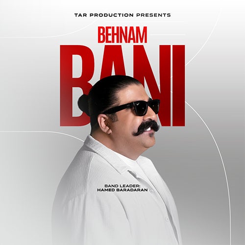 More Info for Behnam Bani