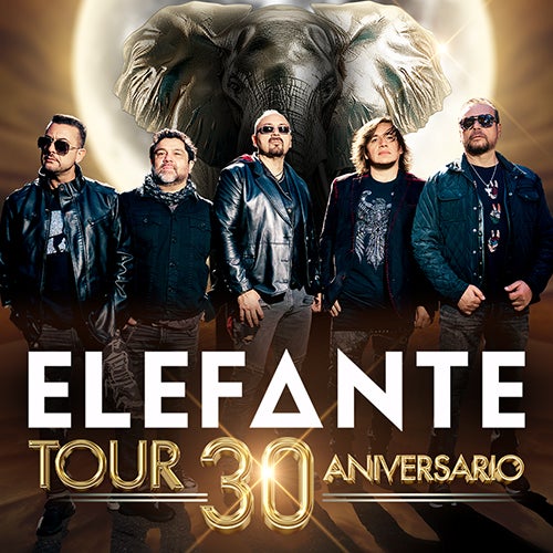 More Info for Elefante