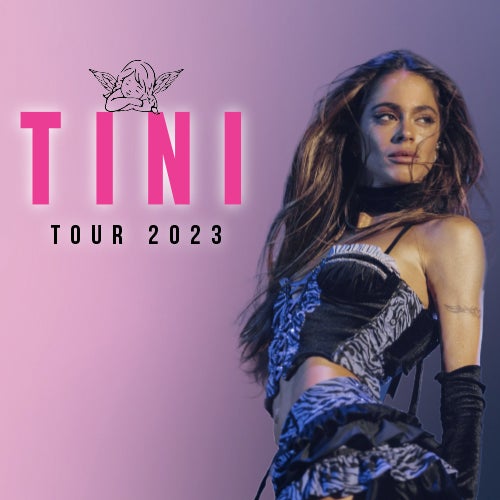 More Info for TINI